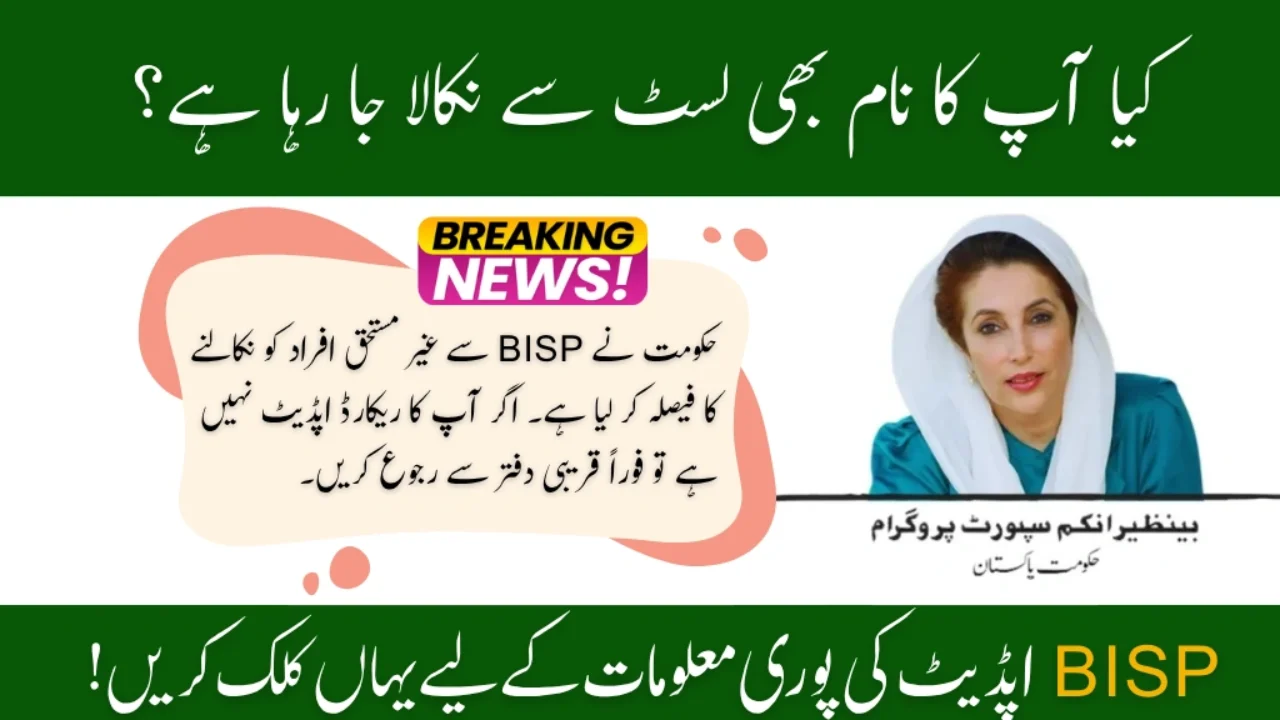 BISP 2025 Update July Payments Stopped for Ineligible Families